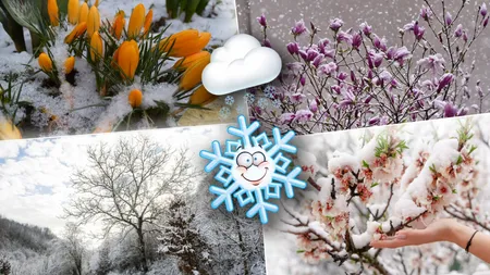 Ninsori în plină primăvară! Anunțul făcut de meteorologi pentru lunile aprilie și mai