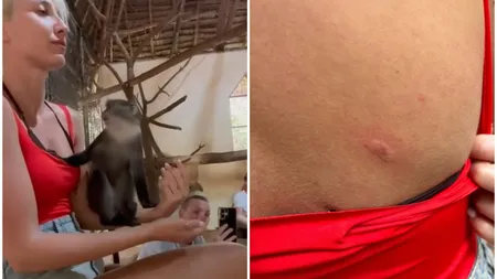 Monica Odagiu, mușcată de maimuță în vacanță: 