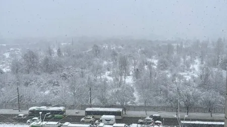 Revin ninsorile în România. Localitățile în care va ninge 5 zile la rând, începând de săptămâna viitoare. Prognoza meteo actualizată pentru București
