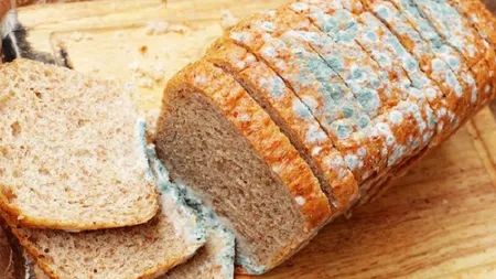 Ce se întâmplă în corp dacă mănânci pâinea mucegăită. Mulți români nu știu la ce risc se expun