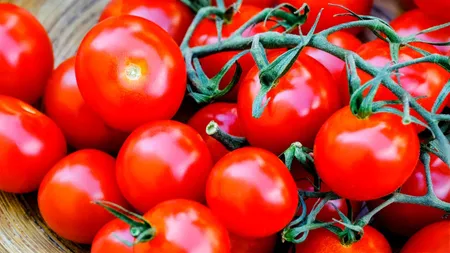 Când ajung pe piață primele roșii românești. Pe tarabe prețurile ar putea ajunge la 100 lei kilogramul