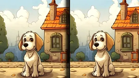 Test de logică pentru ochi ageri! Găsește diferențele din imagini în doar 23 de secunde