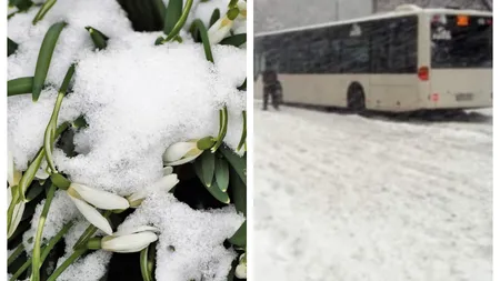 Se întorc ninsorile în România. Câte zile va ninge în București, în luna martie. Date de ultimă oră de la meteorologi