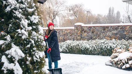 Nu arunca zăpada din curte, după ninsorile abundente! Trucul ieftin prin care îți protejezi pomii și pregătești solul pentru o primăvară roditoare