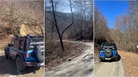 Ro Alert după ce un bărbat a fost atacat de urs în Vâlcea