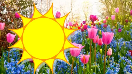 Prognoza meteo. Vremea se schimbă radical după weekend, se anunță temperaturi de 20 de grade. Anunțul de ultimă oră al meteorologilor