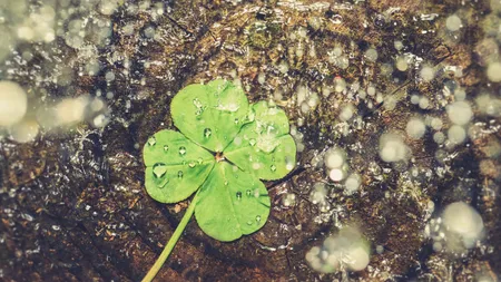 Jupiter, planeta NOROCULUI, aduce schimbări majore pentru aceste 4 ZODII toată săptămâna 