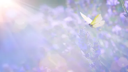 Horoscop aprilie 2026. primăvara vine cu răsturnări subtile, dar decisive. Ce EVENIMENTE astrale ne pot schimba viața în această lună?