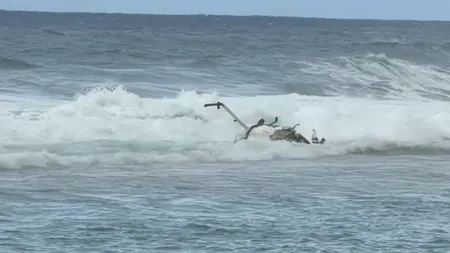 Elicopter prăbuşit, epava a fost adusă de valuri la mal. Trei dintre cei de la bord au murit