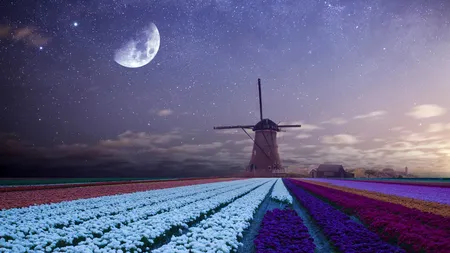 4 ZODII atrag NOROC şi abundenţă până la finalul lui APRILIE 2026. Cine sunt favoriţii astrelor în această perioadă