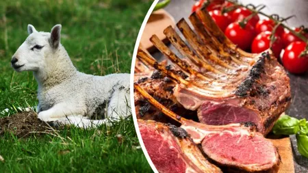 ANSVSA, avertisment privind carnea de miel. Controale intensificate înaintea Sărbătorilor Pascale: „Siguranța alimentară nu este negociabilă”