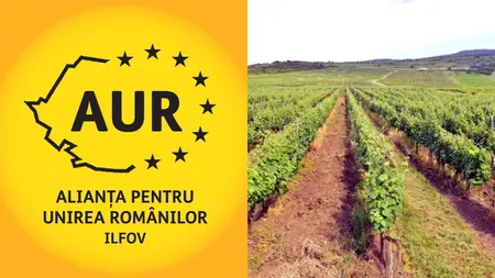 AUR vrea limitarea vânzării terenurilor către cetățenii străini. Proiectul de lege a fost depus în Parlament: „Nu ne vindem glia nu trebuie să rămână doar un slogan, ci o realitate”