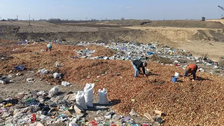 Vine criza? Tone de ceapă și alte legume aruncate la gunoi, recuperate de locanici: „Din magazin tot așa o iau”