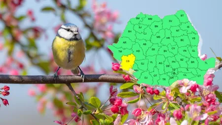 Cod galben de vânt puteric în sud-vest. Vreme mai caldă decât normalul perioadei, în Capitală