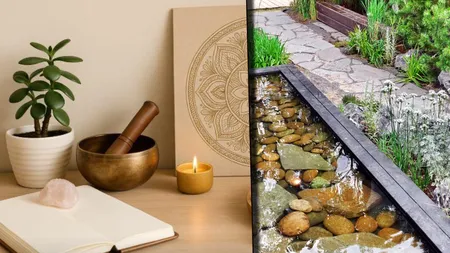Feng Shui în grădină: Cum îți transformi spațiul verde într-o oază de liniște și noroc