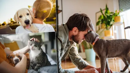 Din ce în ce mai mulți membrii ai Generației Z aleg să aibă pisici. Motivul pentru care tinerii renunță la ideea de a adopta câini