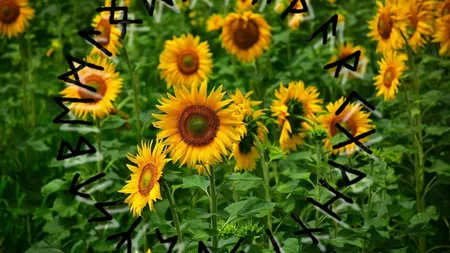 Horoscop 24 martie 2026. S-ar putea să apară azi tensiuni cu şefii şi probleme în relaţie