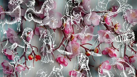 Horoscop pentru weekendul 13-15 martie. Ce schimbări și șanse aduc astrele pentru fiecare zodie