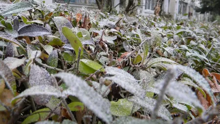 Vremea se schimbă în România. Cât vor mai fi temperaturile de îngheț noaptea și dimineața. Prognoza meteo ANM în perioada 17 martie – 12 aprilie 2026
