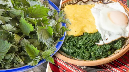 Au apărut trufandalele de primăvară. Un kilogram de urzici e mai scump decât carnea de vită în 2026