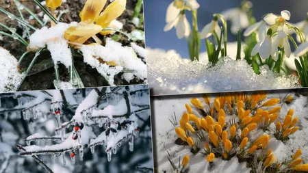 8 zile consecutive de ninsoare în România. Anunțul făcut de meteorologii Accuweather