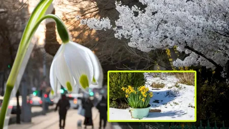 Prognoza meteo pe două săptămâni. Vine, vine primăvara! ANM anunţă soare şi precipitaţii reduse până de Florii