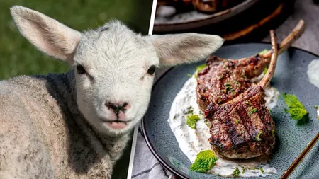 Cererea de miei, puternic influențată de conflictul din Orientul Mijlociu. De Paște, românii ar putea plăti chiar și 70 de lei pe kilogramul de berbecuț