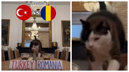 VIDEO Turcia-România, meci decisiv la Istanbul! Cu ce scor se va termina partida, potrivit celebrului motan prezicător Nimbus