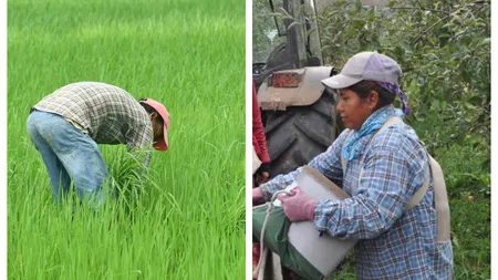 Întârzierile în procesarea vizelor pentru nepalezi creează pagube uriașe fermierilor: ”În fiecare zi pierdem recolte în valoare de 1.000 de euro”