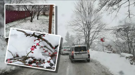 Ninge în România, în plină primăvară. Vortex polar cu 3 săptămâni înainte de Paște, alertă ANM de cod galben