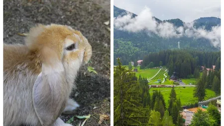 Cât costă în 2026 să faci Paștele în Poiana Brașov. Prețurile au crescut semnificativ față de anul trecut