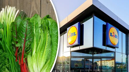 Au apărut primele verdețuri la Lidl. Razele de soare vestesc oferte irezistibile la legumele de primăvară