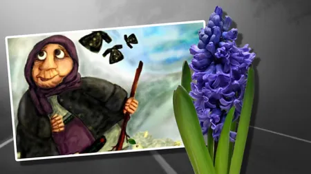 Prognoza meteo. Gata cu hainele groase, săptămână cu tot mai multe grade în termometre. Doar ceaţa matinală strică primăvara