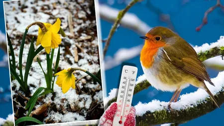 Ultima zi cu ninsori din această primăvară. Meteorologii Accuweather au actualizat prognoza