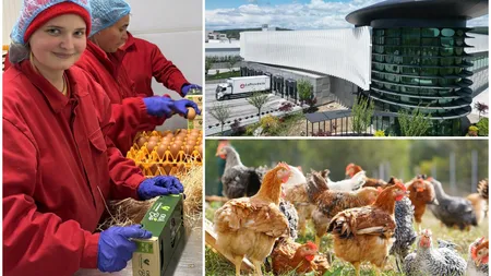 Carmistin The Food Company își consolidează poziția de lider în sectorul avicol din România, prin dublarea producției în ultimii doi ani