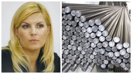 Elena Udrea, revoltată pe ton suveranist după vânzarea fabricii de țevi din Roman. ”Dacă un român ar fi fost sprijinit să cumpere Petrotub, era corupție. Dacă o ia un oligarh din Ucraina, e solidaritate cu 'poporul ucrainean'!”