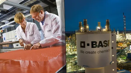 BASF Agricultural Solutions face angajări în România. Noi roluri în funcții corporative și de guvernanță