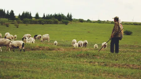 Meseria plătită cu 2.400 de euro pe care nimeni nu o vrea. Angajatorii caută cu disperare candidați