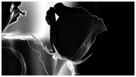 A murit un campion din 