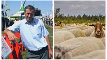 Un fermier din Galați renunță la ferma de oi după o viață de muncă: ”Nu mai pot, strămoșii mei se întorc în mormânt”