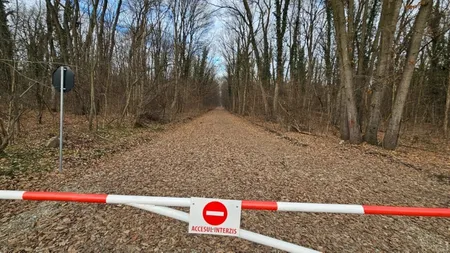 Poziția Federației Greenfield după ce Romsilva a anunțat că vrea să oprească accesul auto prin Pădurea Băneasa: ”Măsură abuzivă și nejustificată la adresa a peste 6.000 de cetățeni”