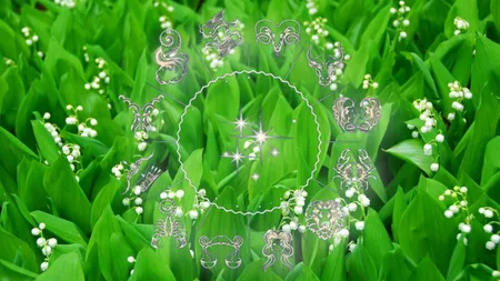 4 zodii binecuvântate de astre în luna mai. Nativii reușesc să depășească toate obstacolele și să își îndeplinească visurile