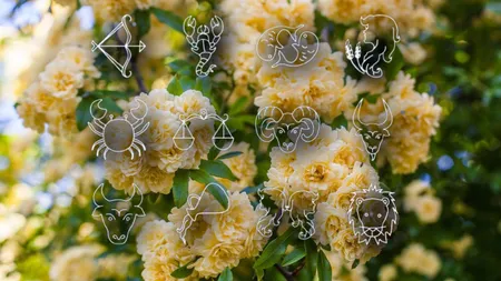 Horoscop 30 aprilie 2026. Zodiile care se confruntă cu probleme pe mai multe planuri în ultima zi din lună