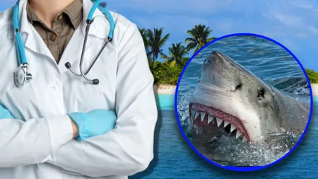 Clipe de coșmar pentru un medic celebru în Maldive. Atacat de rechin în luna de miere, medicii au luat cea mai grea decizie