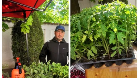 Povestea unui român întors din străinătate care vrea să facă agricultură în România: ”E greu să te dezvolți, prea multă birocrație”