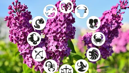 Horoscop 3 mai 2026. Nativii manifestă o dorință mai mare de libertate și autenticitate. Mulți vor simți nevoia să își depășească limitele și să renunțe la obiceiuri care nu le mai fac bine