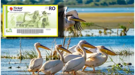 Vouchere de vacanţă 2026: Reducerea valorii tichetelor şi scăderea puterii de cumpărare temperează rezervările pentru vacanţa de Rusalii. Ofertele pe Riviera Românească de Rusalii pornesc de la 47 lei/noapte