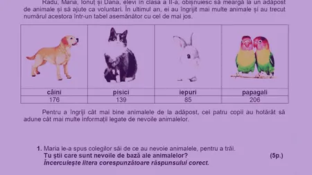 Evaluare Națională clasa a II-a. Subiecte la Matematică și Explorarea mediului