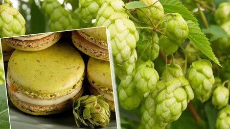 Cea mai scumpă plantă din lume, folosită la prepararea mâncărurilor servite în restaurante de lux din Franța și Belgia, crește, în România, pe marginea drumului