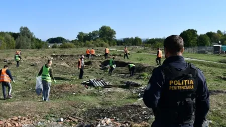 Deținut evadat, împușcat după ore de căutări. Intervenție în forță a poliției din Dolj